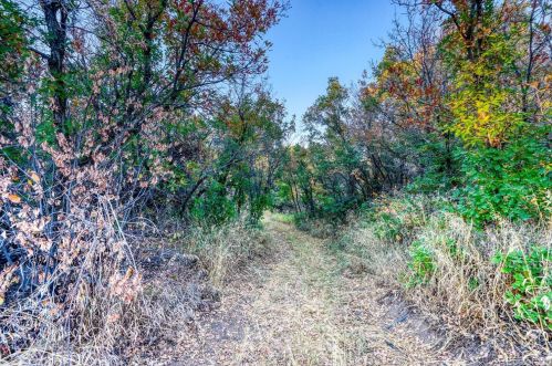 588 Coronado Dr, Deckers CO 80135-8316 exterior