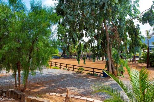 3537 Twin Oaks Valley Rd, San Marcos, CA 92069-9739
