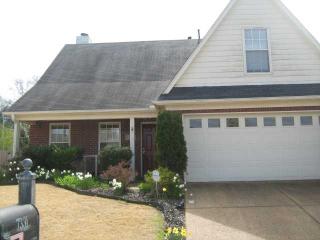 7331 Appling Ridge Dr, Cordova, TN 38018-2251
