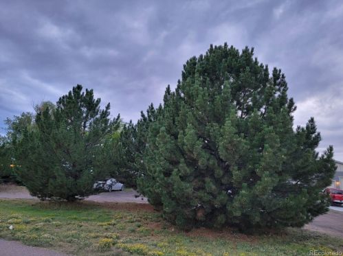 411 Zante Way, Aurora, CO 80603-9794