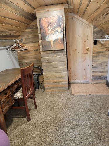 429 Elm St, Leadville CO  80461-3911 exterior