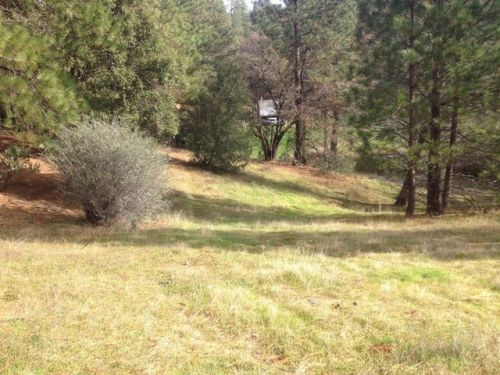 6045 Red Berry Hill Ln, Swansboro Country, CA 95667-7402