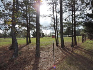 365 Old Pavo Rd, Pavo, GA 31778-6740