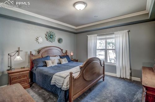 1102 Ptarmigan Dr, Woodland Park CO 80863-8004 exterior