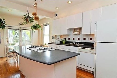 1507 Nelson St, Chicago, IL 60657-3103