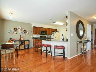 20350 Ashcroft Ter, Dulles VA  20165-7538 exterior