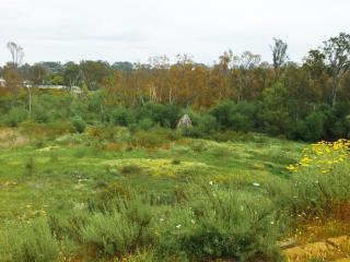 4030 Manchester Ave, Encinitas, CA 92024-4925