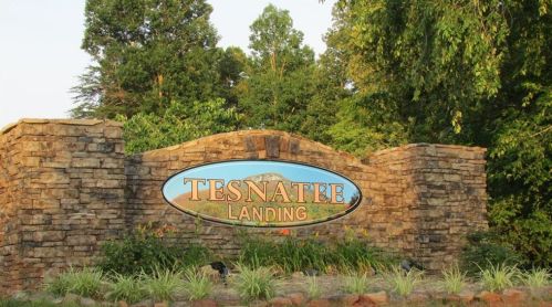 233 Tesnatee Landing Dr, Cleveland GA  30528-3868 exterior