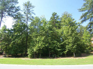 982 Little Darby Ln, Suwanee, GA 30024-7676