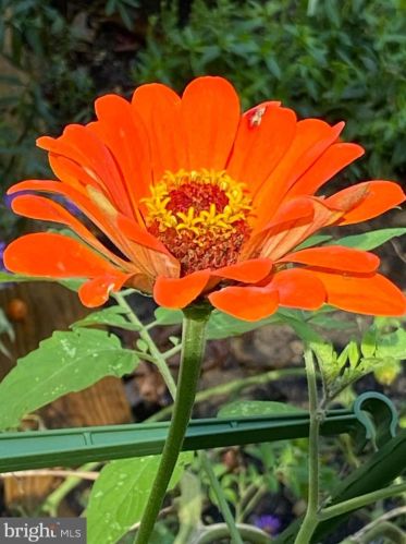 103 Cv Vw Trl, Severna Park MD 21146-4614 exterior