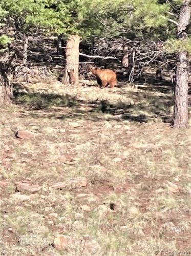 281 Merlo Dr, Sangre De Cristo Ranches, CO 81133-8705