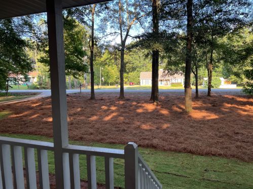 35 Singley Dr, Locust Grove, GA 30248-4536
