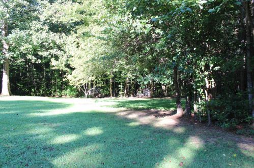 111 Moonlight Ct, Jackson, GA 30233-3120
