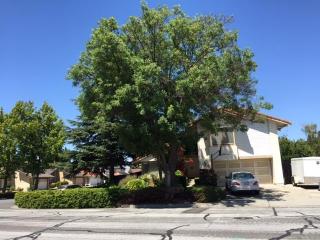 32820 Falcon Dr, Fremont, CA 94555-1118
