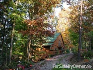2105 Sky Top Rd, Walland, TN 37886-3213