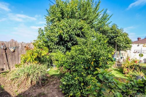 1212 Flower St, Santa Ana CA 92707-1103 exterior