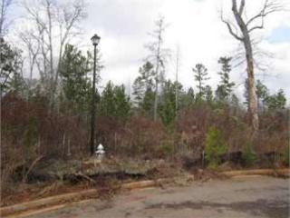 324 Ironwood Dr, Stockbridge, GA 30281-2285