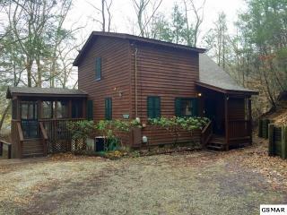 2120 Jeans Way, Pigeon Forge, TN 37876-7393