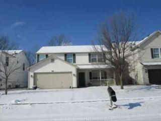 8528 Gainesville Dr, Indianapolis IN  46227-9616 exterior