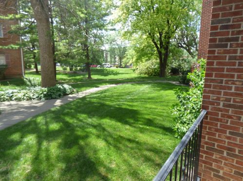 7871 Caldwell Ave, Niles IL  60714-3320 exterior