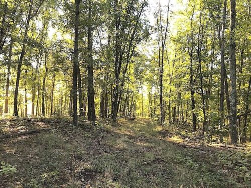 246 Spears Hill Rd, Pennsville, OH 43787-8642