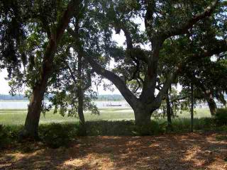 3 Seabrook Point Ct, Seabrook SC  29940-3524 exterior