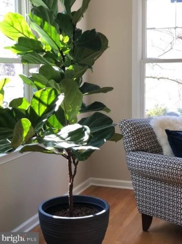 36 Whittier Pkwy, Severna Park MD 21146-3051 exterior