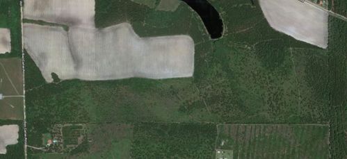 2550 Bay Carter Rd, Bickley, GA 31554
