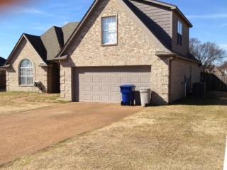 60 Strawberry Field Cv, Somerville, TN 38060-3496