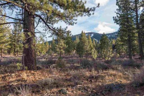 730 John Mckinney, Truckee, CA 96161-5173