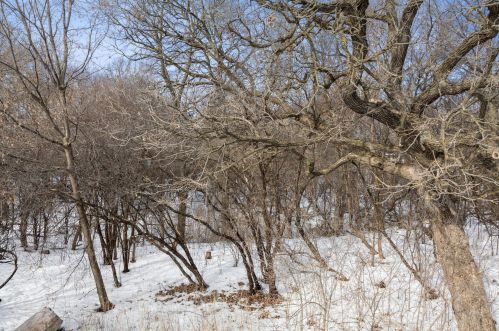 1715 Hickory Hl Dr, Saint Paul MN  55122-2412 exterior