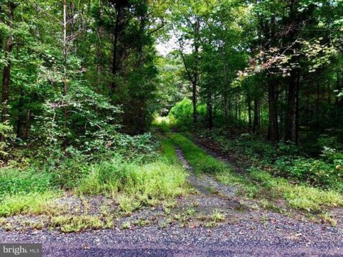4909 Holly Dr, Partlow, VA 22534-9623