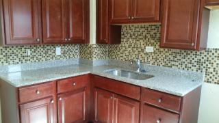 1231 Sheridan Ave, Baltimore MD  21239-3432 exterior