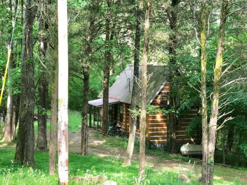 305 Caney Bend Rd, Doyle, TN 38559-3203