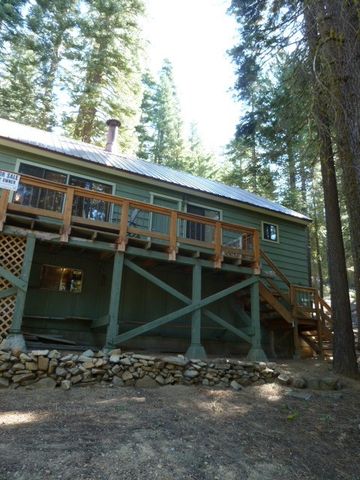 22 Haskell Crk, Calpine, CA 96124-9807