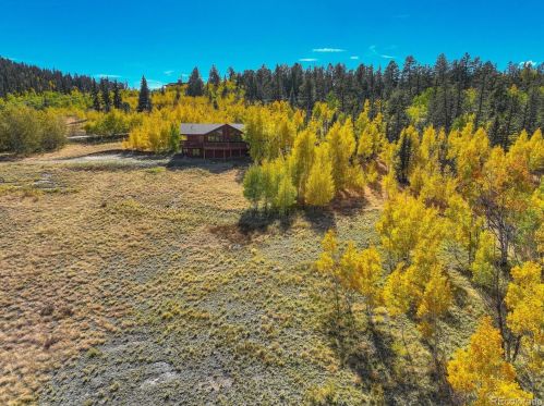 137 Outlaw Ct, Fairplay CO 80456-9762 exterior