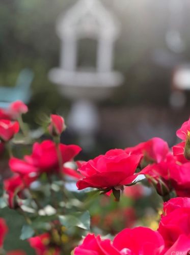 1102 Riviera Dr, Santa Ana CA 92706-1543 exterior