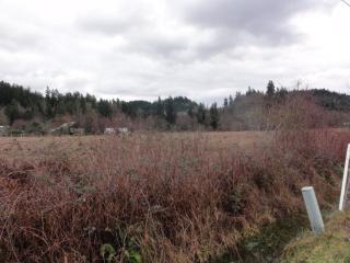 652 Klink St, Buckley, WA 98321-9587