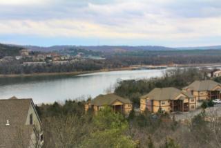 603 Treehouse Ln, Branson, MO 65616