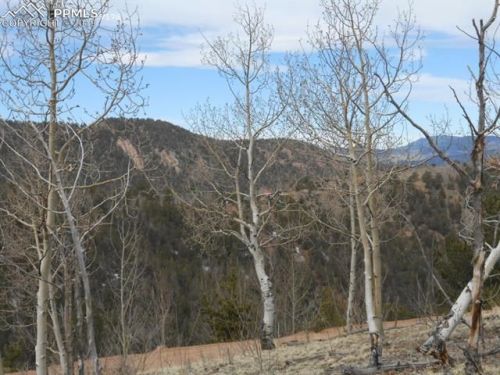 144 Golden Cycle Cir, Cripple Creek, CO 80813-9672