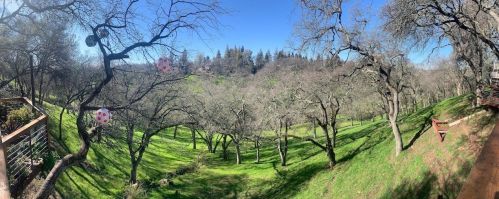 4221 Curragh Oaks Ln, Fair Oaks, CA 95628-6603