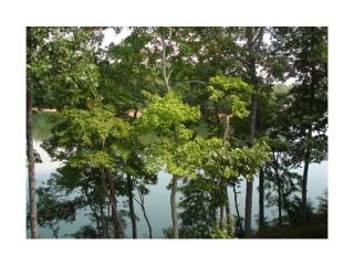 135 Peninsula Way, Dawsonville, GA 30534-0770