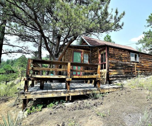 28368 Cedar Ave, Pine, CO 80470-8841