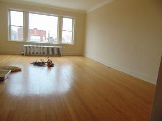 8219 Eberhart Ave, Chicago IL  60619-4956 exterior
