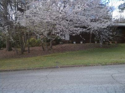 3315 Canterbury Trl, Rex GA 30273-2113 exterior