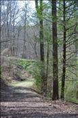 407 Kinzel Springs Way, Townsend, TN 37882-3032