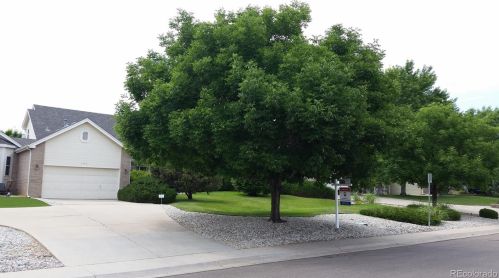 1199 Allison St, Denver, CO 80232-5311