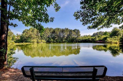 343 Vista Creek Dr, Stockbridge GA  30281-2092 exterior