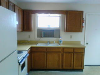 419 Butler Bridge Rd, Fletcher NC  28732-9321 exterior