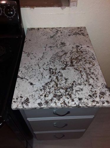 2940 Pegasus Dr, Garland TX  75044-6238 exterior